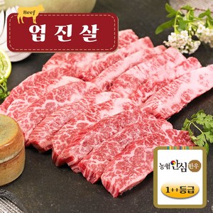 [농협안심한우] 투뿔(1++) 한우 업진살 500g  구이용, 1개