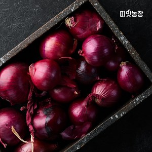 띠앗농장 제주 자색양파, 1개, 5kg(특)