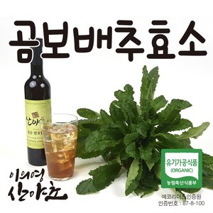 곰보배추 효소 750ml x 3병 발효액 유기농 이의영 산야초 효소, 3개