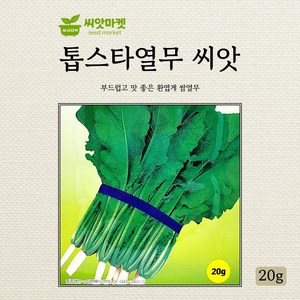 아시아종묘 톱스타열무 씨앗 20g, 1개