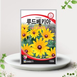 루드베키아씨앗 1000립 루드베키아 꽃씨앗 야생화, 1개