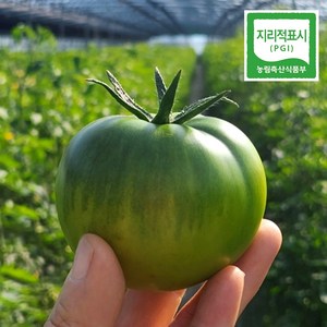 [농장직송] 프리미엄 대저 짭짤이 토마토 특품 산지직송, 짭짤이 토마토(S-3S) 2.5kg, 1개