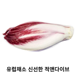 싱싱한 특품 적앤다이브 유럽 채소 100g 500g 1kg 적엔다이브 레드앤다이브 특이한 채소 샐러드채소 신선포장, 1개