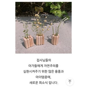 햄스터 나무 화분 꽂이