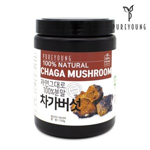 퓨어영 러시아 차가버섯 분말 150g, 1개