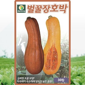 다농 벌꿀장호박씨앗 30립, 1개