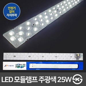 두영 고정형 LED 등기구 천장등, 화이트 + 주광색