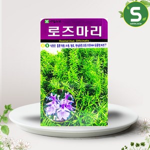 허브씨앗 로즈마리씨앗 40립 로즈마리 허브씨, 1개