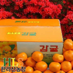 한라산농장 귤 10KG 랜덤(2S/S/M)1종 발송 -불만족 시 무료반품-, 1개