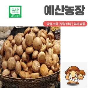 GAP인증 생표고버섯 동고 중품 (가정용) 추천, 2kg, 1개