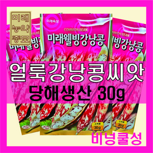 국산 얼룩 강낭콩 씨앗 30g -비넝쿨성품종 bean seeds, 1개