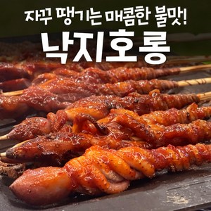 [전라도식] 쫄깃한 낙지호롱 꼬치, 900g, 1개