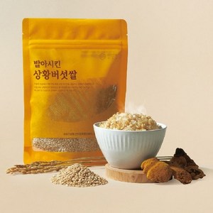 백년농가 상황버섯쌀, 400g, 2개