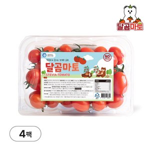 달곰마토 스테비아 방울토마토, 4개, 500g