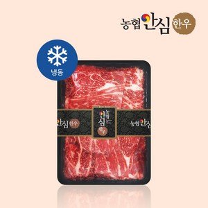 [농협안심한우] 1+등급 한우 불고기 600g, 1개, 600G (600gX1팩)