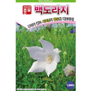 아시아종묘 씨앗 도라지 백도라지 1000립, 1개