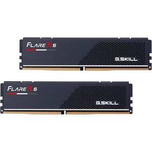 G.Skill 지스킬 플레어 X5시리즈 (AMD엑스포) DDR5 RAM 64GB (2x32GB) 6000MT/s CL30-40-40-96 1.40V 데스크탑 컴퓨터 메모리 UDIM, 2개