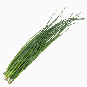 [논밭허브] 유기농 차이브 생잎 10g, 1개