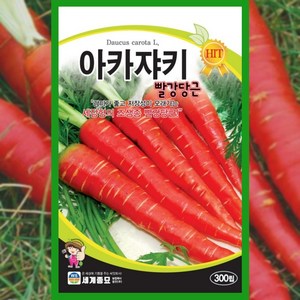 당근씨앗 300립 아카쟈키 당근 종자 빨강 빨간, 1개