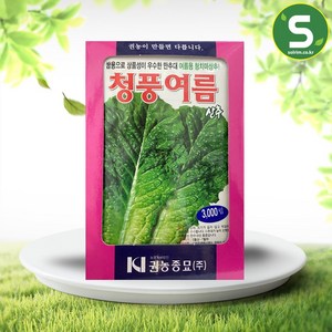 솔림텃밭몰 여름 청치마상추씨앗 3000립 청풍여름 상추씨앗, 1개