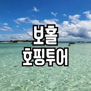 보홀 호핑투어-푼톳 버진아일랜드 투어레코드 전용 호핑투어, 성인