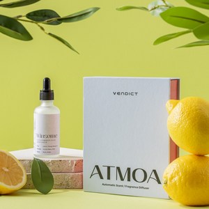 벤딕트 차량용 방향제 디퓨저 ATMOA 리필액 50ml, 1개, 윈섬