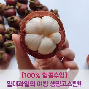 프루틴 생 망고스틴 태국 항공수입 로얄과, 2.5kg (로얄과, 20~40과), 1개