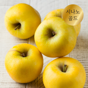 산지직송 고당도 햇 시나노골드 스위트 황금사과 3kg, 1박스, 혼합과 3kg