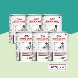 로얄캐닌 헤파틱 캔 420g+6개 처방식.간질환.만성간염.간부전 HEPATIC, 420g, 6개, 닭