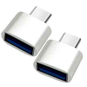 칼론 USB 3.0 미니 C타입 OTG젠더 KR-MCOTG, 실버, 2개