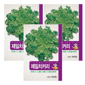 치커리 씨앗 3개입, 1개