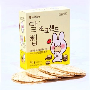 네이처오다 달칩 초코샌드, 48g, 10개