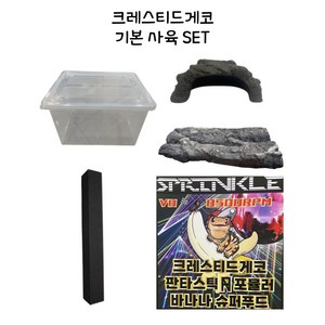 크레스티드게코 고퀄 랜덤모프, 기본 사육 SET, 1개