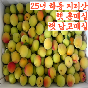 [품질보장] 25년 하동 청매실 씨뺀매실 쪼갠매실 남고 생 햇 매실 홍매실, 1개, 홍매실 원물 5kg (대)