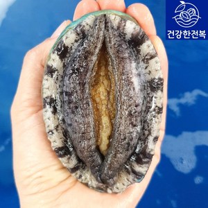 완도활전복 1kg [산소팩 무료배송], 1개, (D) 8-9미 1kg