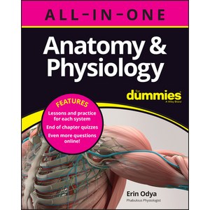 (영문도서) Anatomy & Physiology All-In-One fo Dummies (+ Chapte Quizzes Online) Papeback, English, 9781394153657