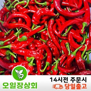 ( 오일장 상회) 국내산 홍고추 못난이 홍초 1kg 2kg 10kg, 1개, 상등급2kg내외