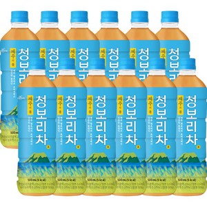 [쟈뎅] 제주의 봄 청보리차 500ml X 12페트, 12개