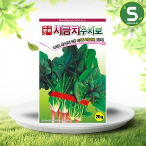 솔림텃밭몰 아시아종묘 시금치씨앗 20g 수시로시금치 연중재배 내서성 씨앗, 1개