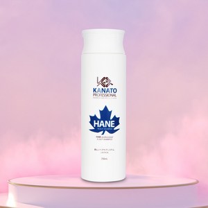 카나토 하네 스칼프 샴푸 무실리콘 지성용, 250ml, 1개