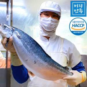 [미각만족] HACCP 얼리지않은 노르웨이 생연어 연어회 필렛 2kg 1kg 500g 300g, 생연어 필렛(라운드), 1개