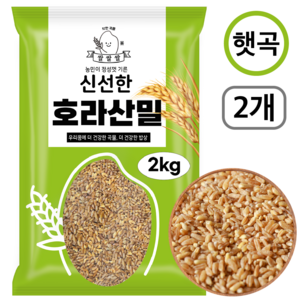 [쌀쌀쌀] 국산 햇 호라산밀, 2개, 2kg