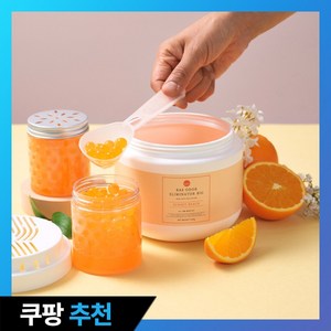 BAS 특대형 실내 탈 취제 빅 (3가지향)_소분용기 포함, 1.1kg, 1개, 선셋비치