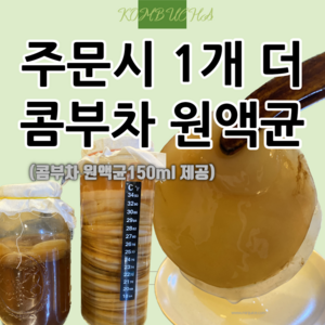 스코비(scoby) 홍차버섯 콤부차원액(kombucha) 발효키트 만들기, c세트스코비만, 100g, 1개