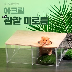 부캣 DIY 아크릴 관찰 미로룸 은신처, 1개