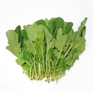 루꼴라 ucola 1kg 로케트 아르굴라, 1개