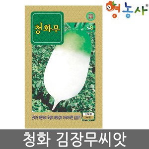 청화무 씨앗 500립 아삭한 식감의 가을 김장무 종자, 1개