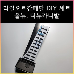 올뉴/더뉴 카니발 오르간페달, 브레이크 커버추가함