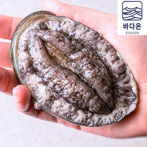 바다온 완도활전복 6-7미 1kg(마리당140g내외) [산소팩 무료배송], 1개, (1호) 6-7미1kg