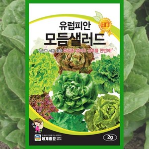 상추 씨앗 유럽 모듬 샐러드 2g 종자 채소 상추씨, 1개